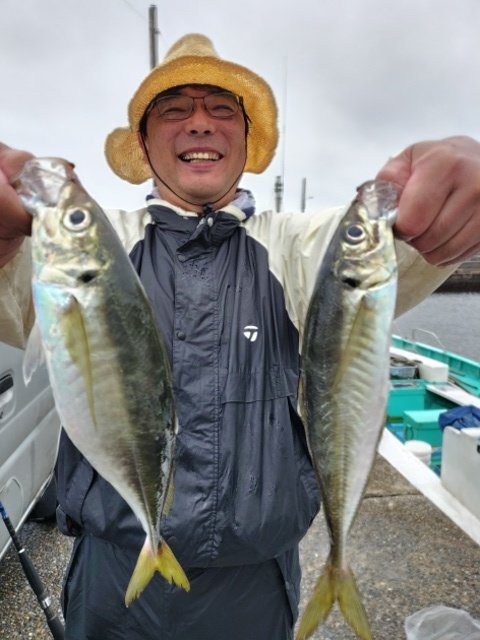 アジ(マアジ)