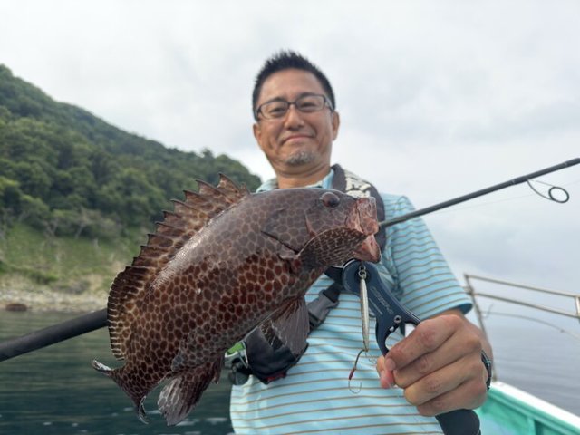 オオモンハタ