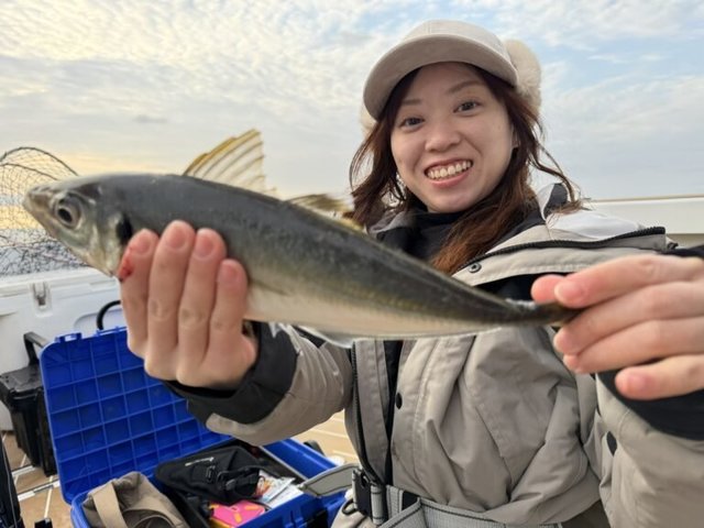 アジ(マアジ)
