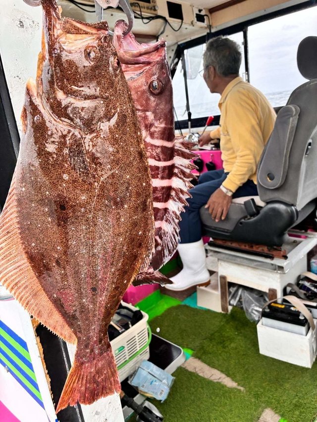 マハタ・ヒラメ