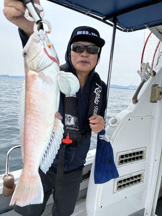 シロアマダイ