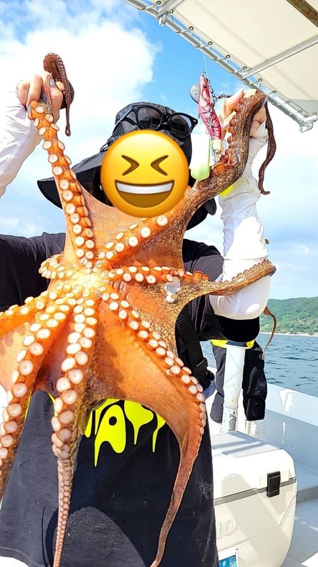 タコ(マダコ)