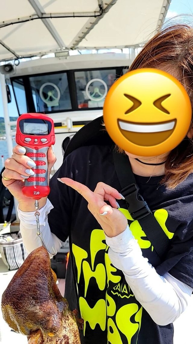 タコ(マダコ)