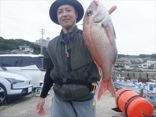 マダイ