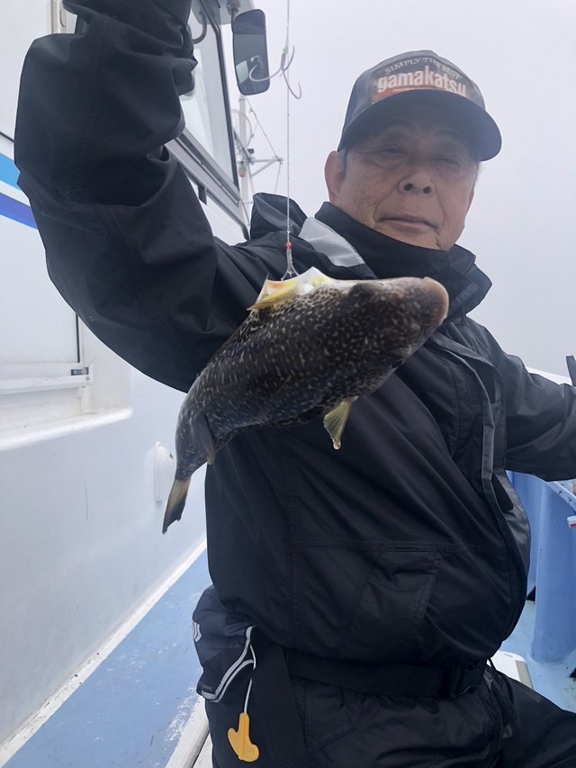 ショウサイフグ