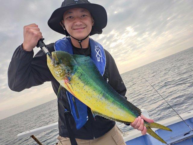 シイラ