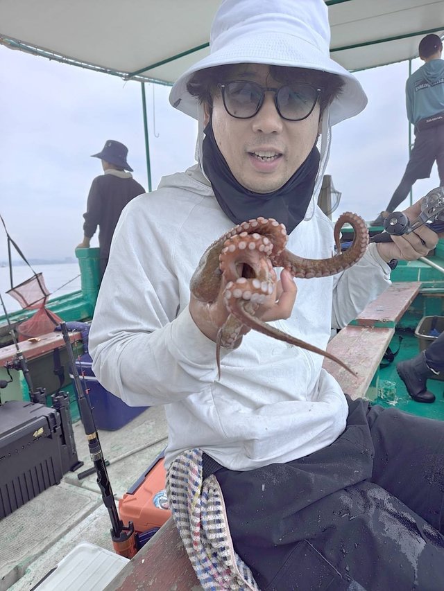 マダコ