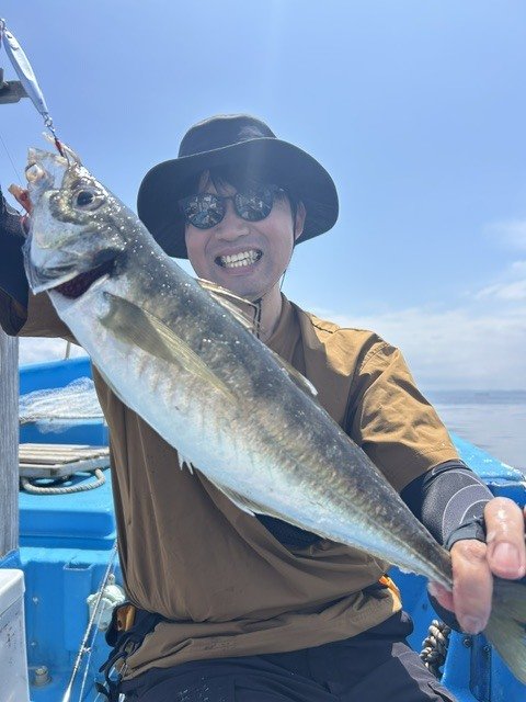 アジ(マアジ)