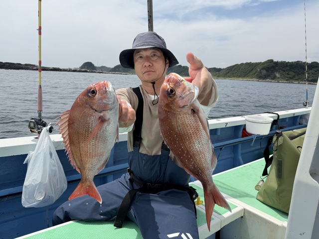 マダイ