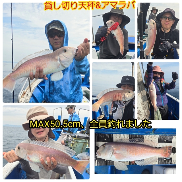シロアマダイ