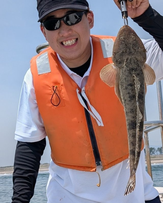 マゴチ