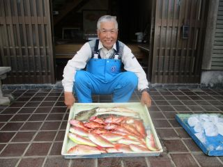 イトヨリ(イトヨリダイ)・カサゴ