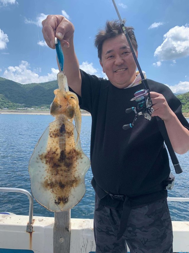 アオリイカ