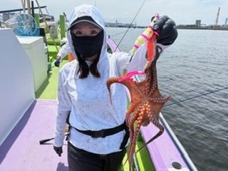 マダコ
