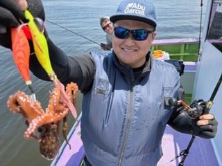 マダコ