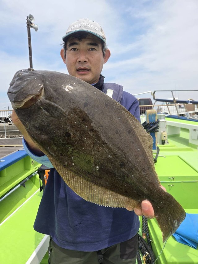 ヒラメ