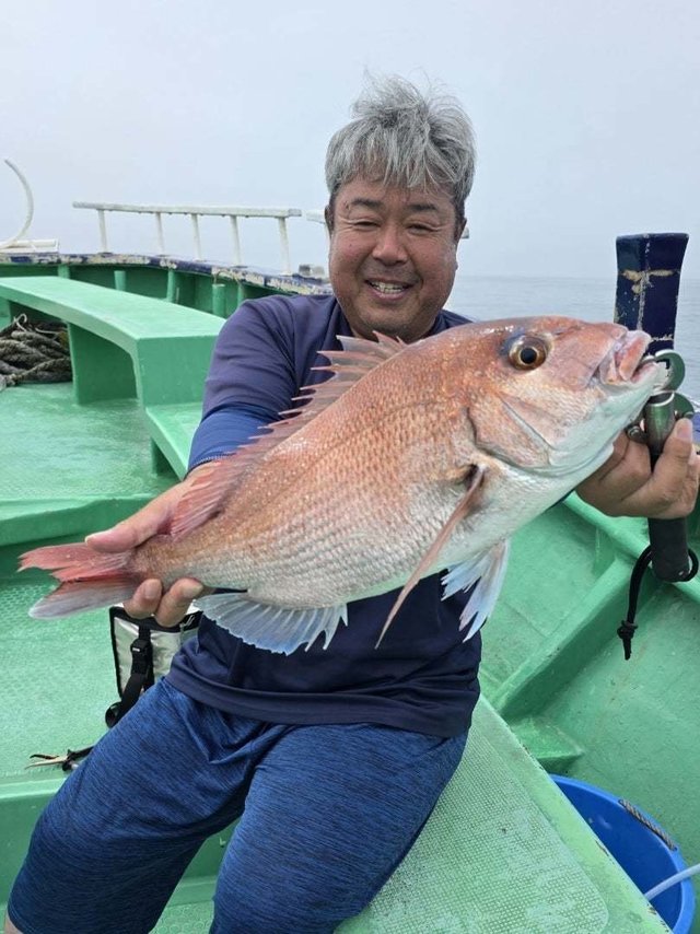 マダイ