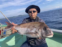 マダイ