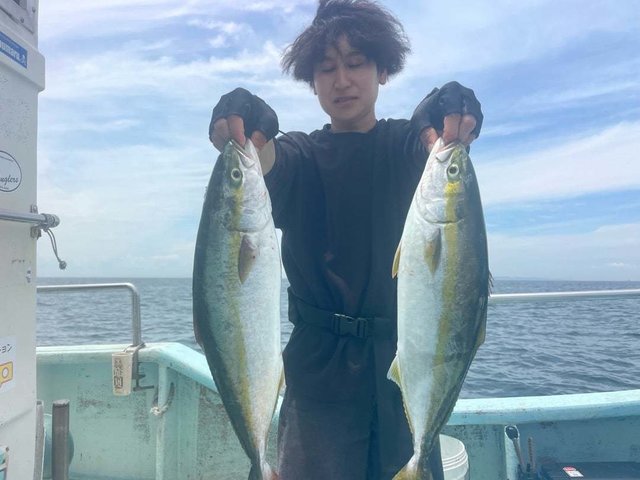 ハマチ(ブリ)