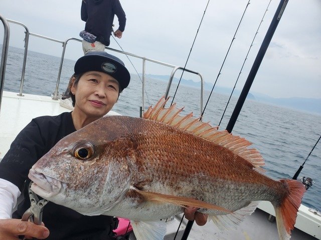 マダイ