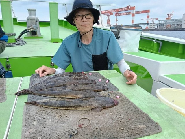 マゴチ