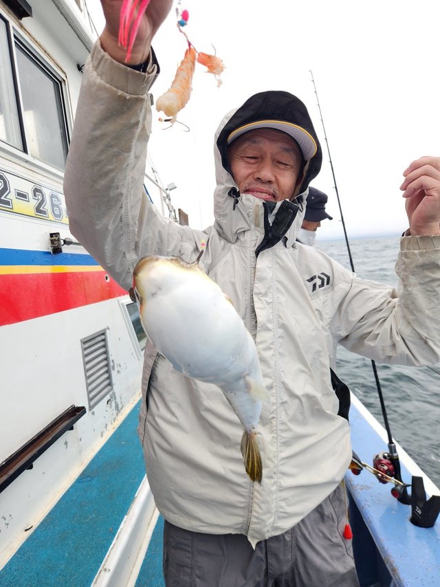 ショウサイフグ