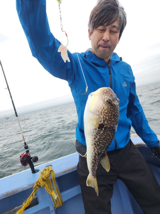 ショウサイフグ