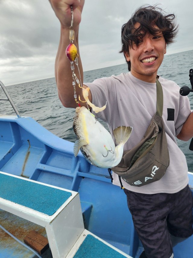 ショウサイフグ