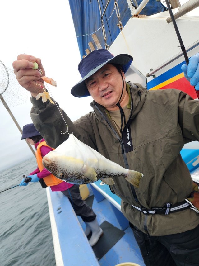 ショウサイフグ