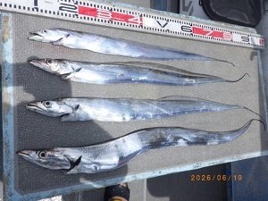 タチウオ
