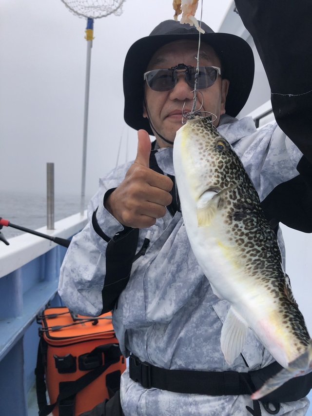 ショウサイフグ