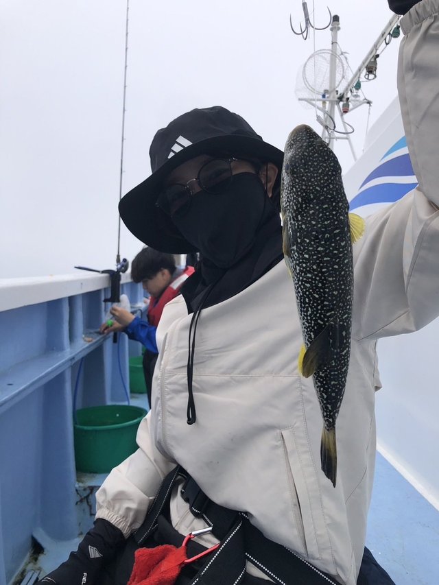 ショウサイフグ