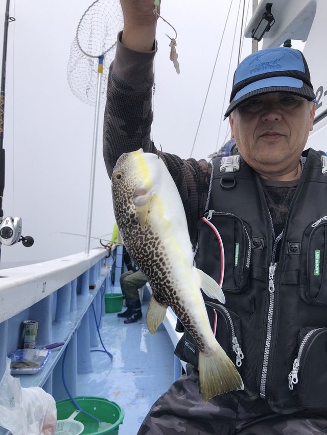 ショウサイフグ