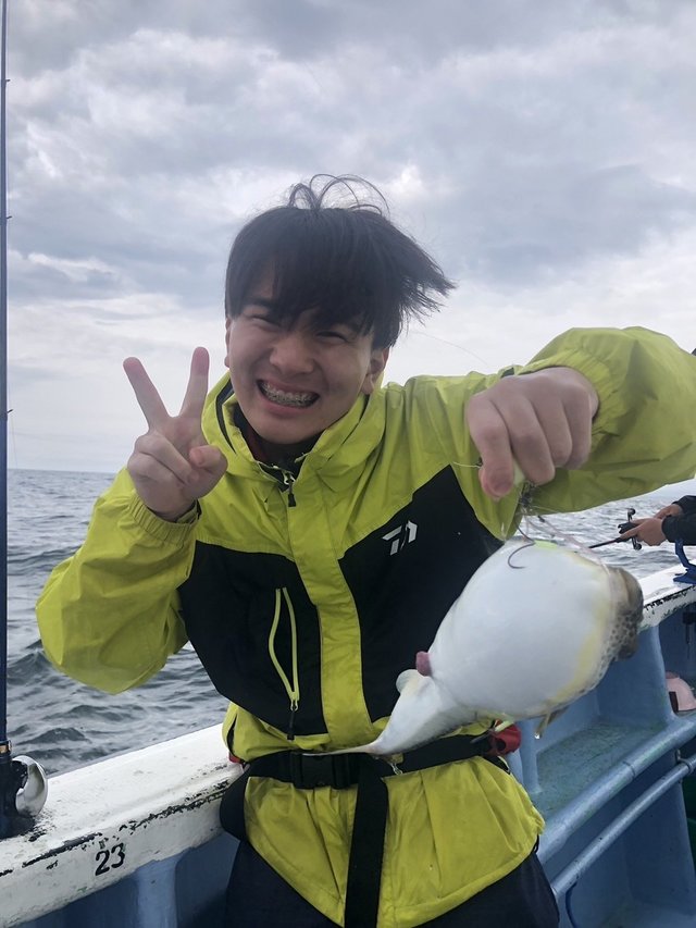 ショウサイフグ