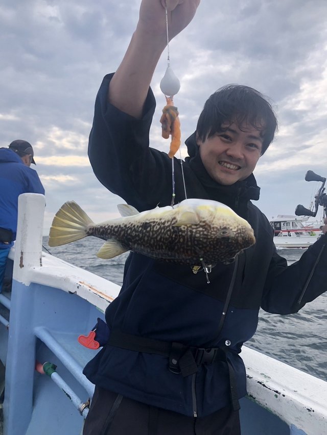 ショウサイフグ