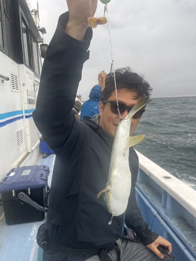 ショウサイフグ