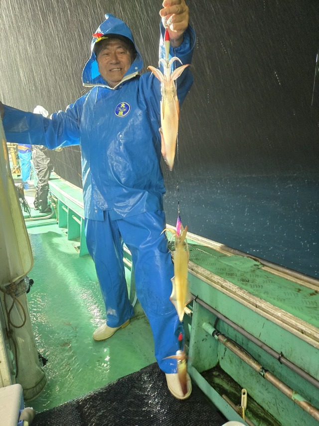 ヤリイカ