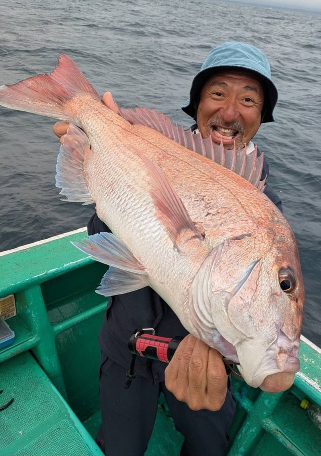 マダイ