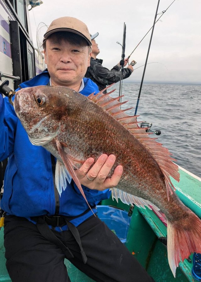 マダイ