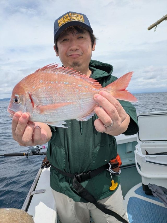 マダイ