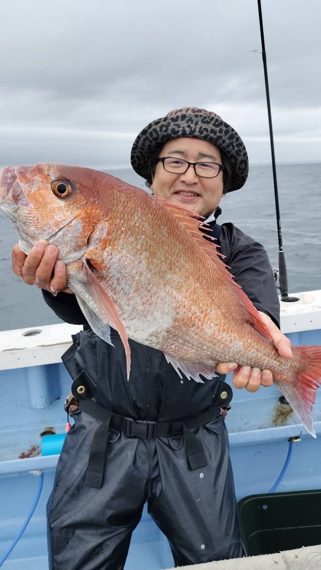 マダイ