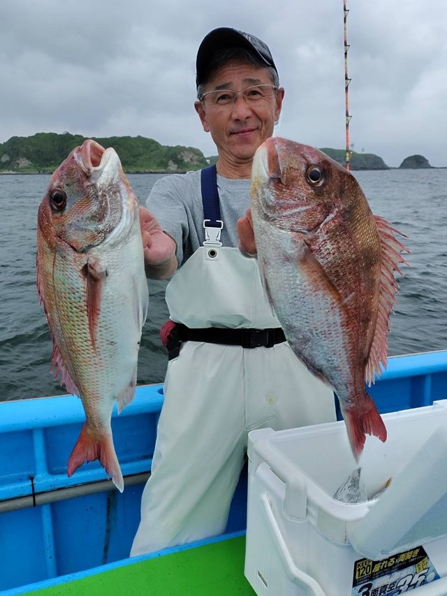 マダイ