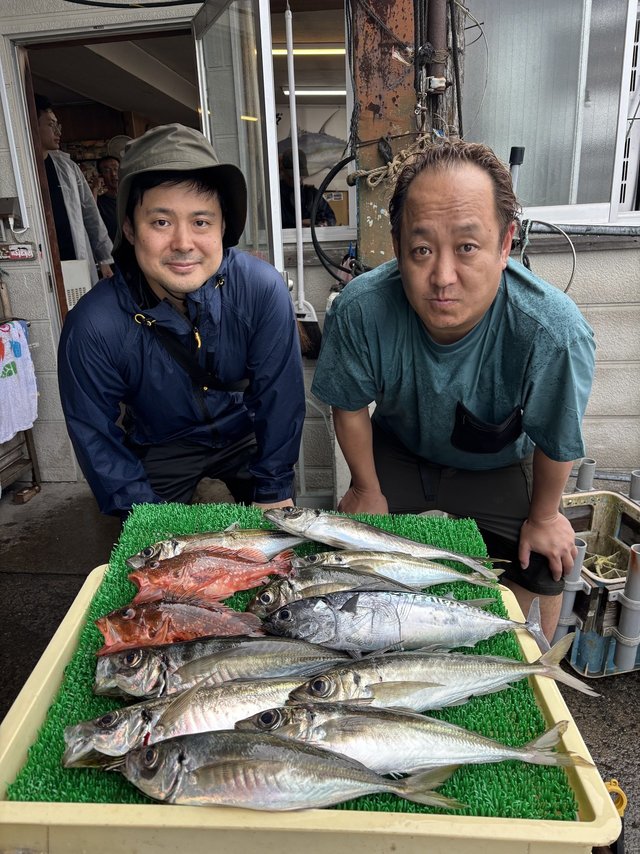 アジ(マアジ)