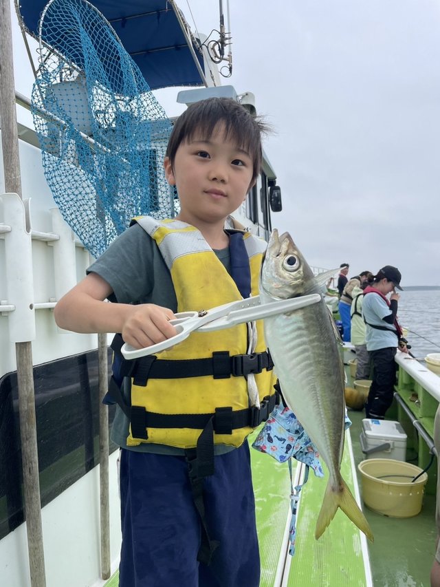 アジ(マアジ)