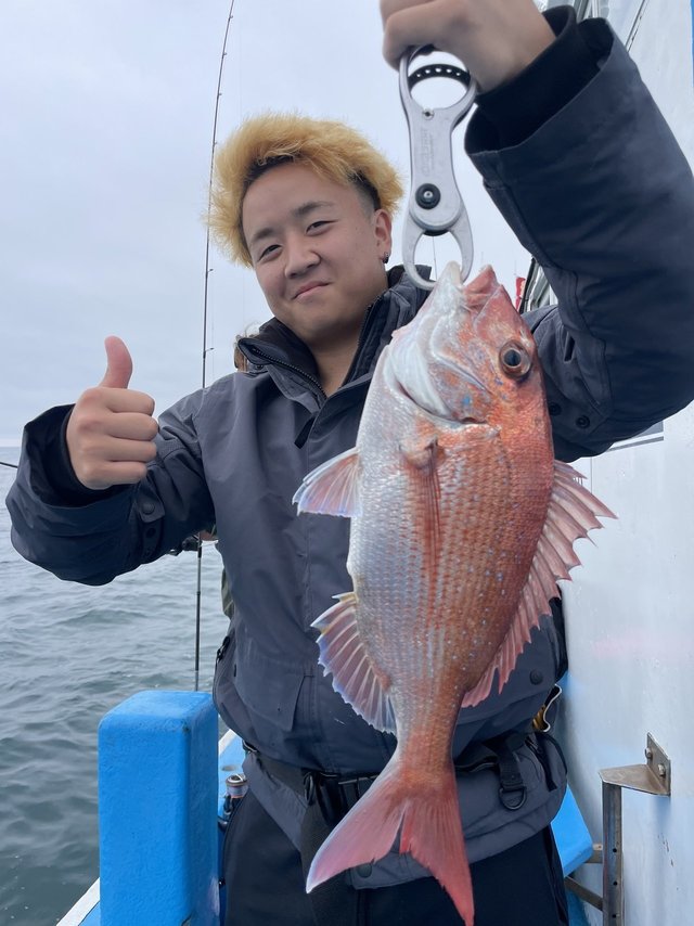 マダイ