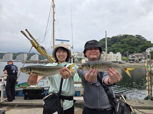 アジ(マアジ)