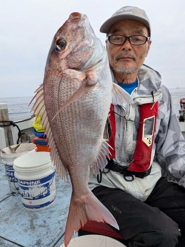 マダイ