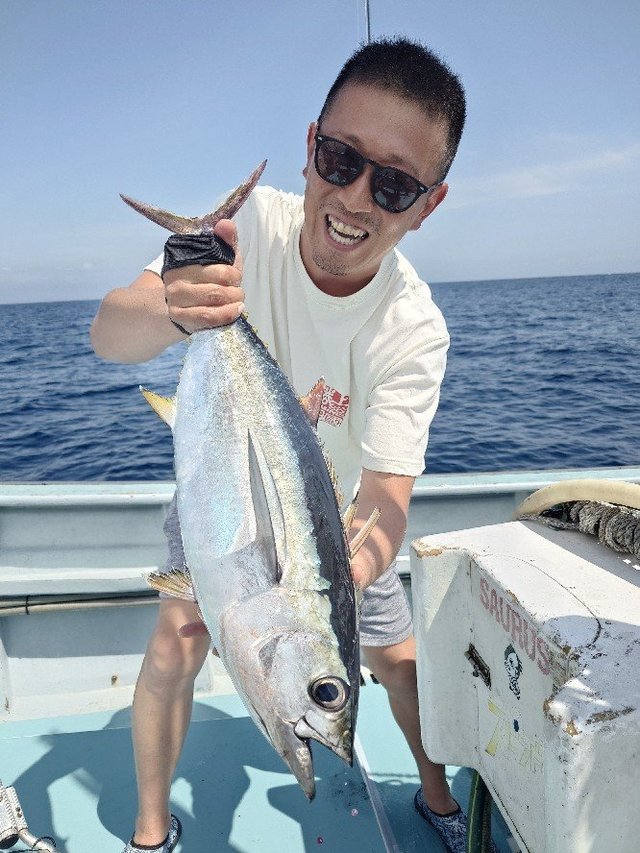 キメジ(キハダ)