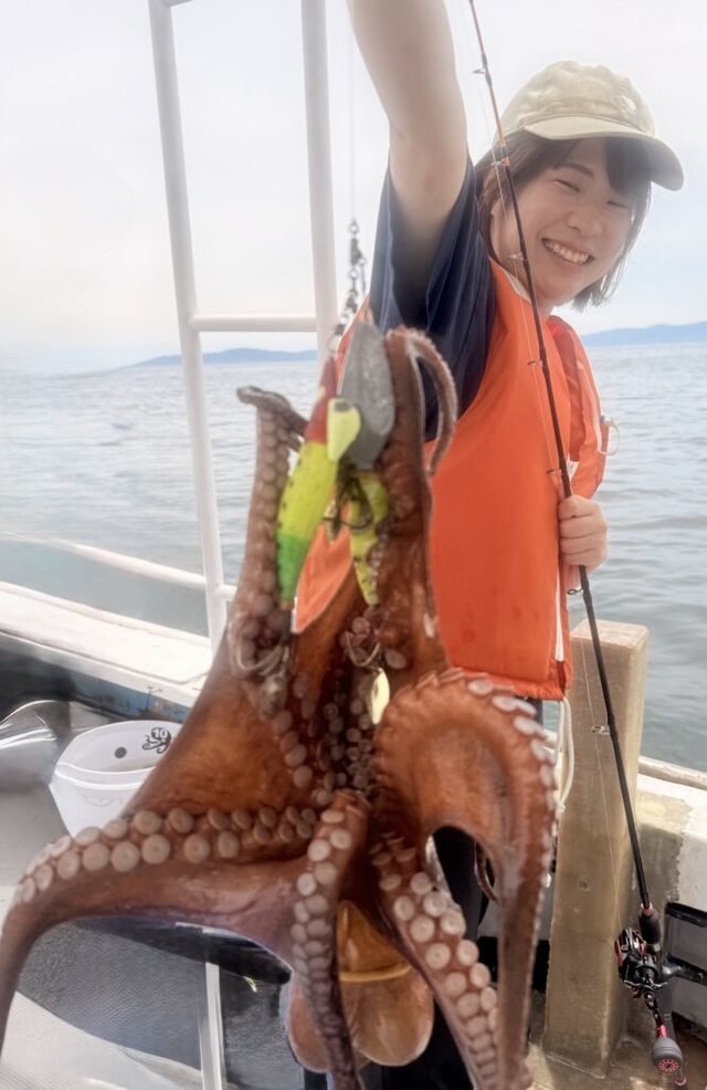 マダコ
