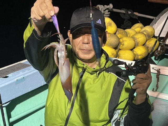 ヤリイカ